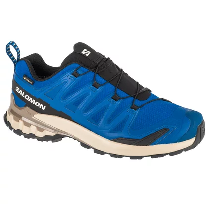 Salomon XA Pro 3D v9 GTX L47817200