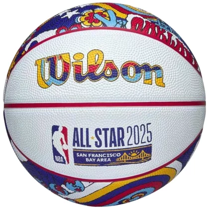 Wilson 2025 NBA All Star Mini Ball WZ3020201XB