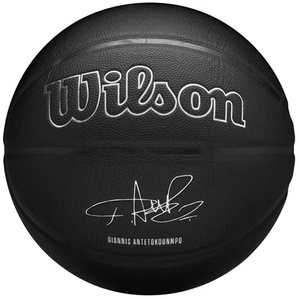 Wilson NBA Player Evergreen Bskt Giannis WZ4026701XB