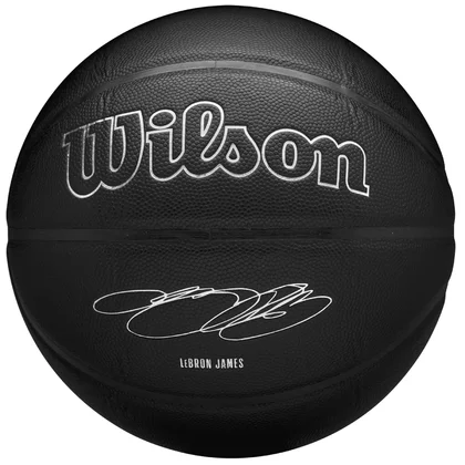 Wilson NBA Player Evergreen Bskt Lebron WZ4026801XB