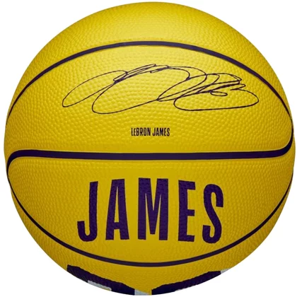 Wilson NBA Player Icon LeBron James Mini Ball WZ4027701XB