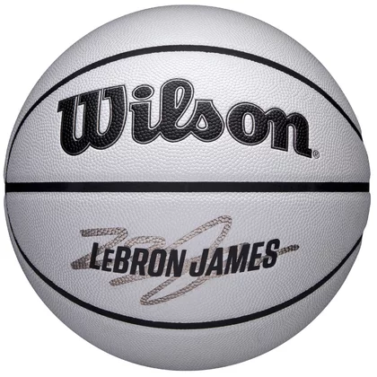 Wilson NBA Player Icon Uv Bskt Lebron WZ4030501XB